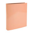 Picture of EXACOMPTA RING FILE A4 GLOSSY 30MM PASTEL